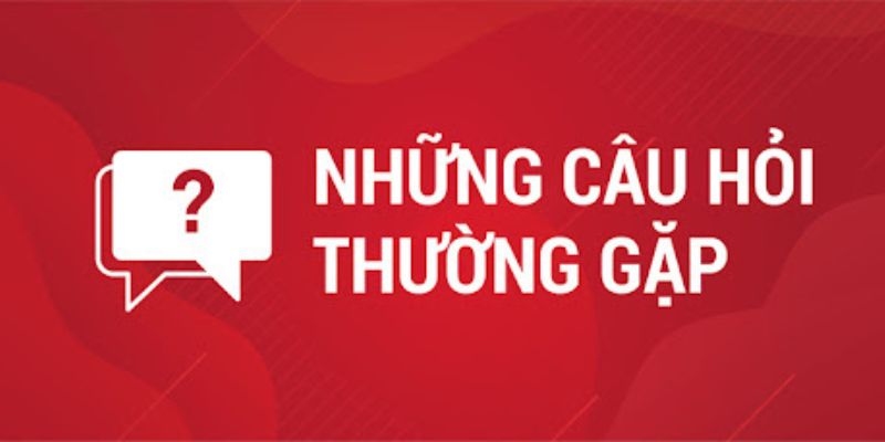 Câu hỏi thường gặp trong quá trình trải nghiệm